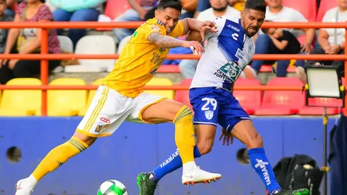 "Sólo nos enfocamos en las virtudes de Salcedo": Garza