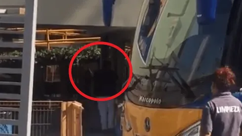 ¡Visita inesperada! Higuera en oficinas de Tigres