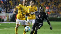 Tigres vs. Necaxa (Foto: Jam Media)