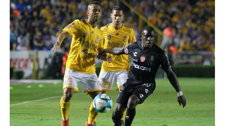 Tigres vs. Necaxa (Foto: Jam Media)