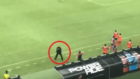 ¿A quién se lo gritó? El alocado festejo de Tomás Boy