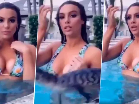 Video viral: se estaba haciendo la linda, un caimán diabólico la vio y se tiró al agua con ella