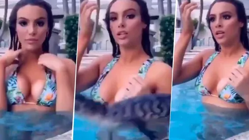 Video viral: se estaba haciendo la linda, un caimán diabólico la vio y se tiró al agua con ella