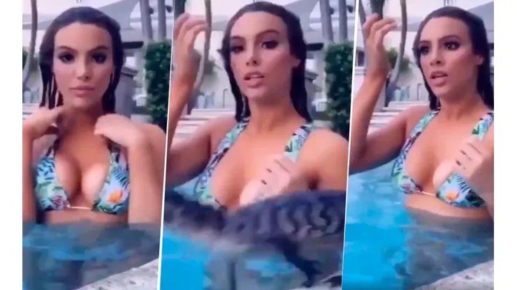Video viral: se estaba haciendo la linda, un caimán diabólico la vio y se tiró al agua con ella