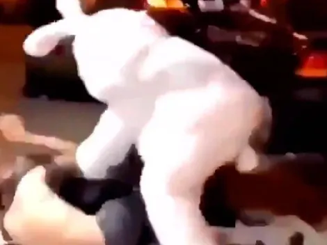 Video viral: se quiso pelear a la salida de un bar, pero se topó con un conejo diabólico