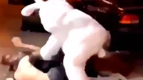 Video viral: se quiso pelear a la salida de un bar, pero se topó con un conejo diabólico