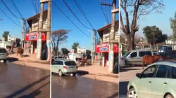 Video: una señora estaba haciendo un asado en la calle y un toro la mandó a dormir