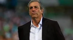 Tomás Boy tras la pelea con André Gignac.