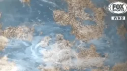 Fox Sports: qué pasó en el mundo en los 26 años de carrera del Conejo Pérez