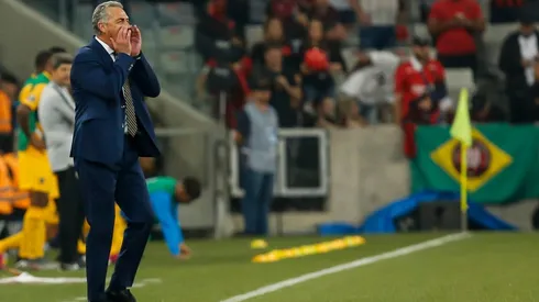 Gustavo Alfaro, director técnico de Boca.