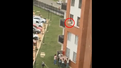 Foto del perro a punto de tirarse.