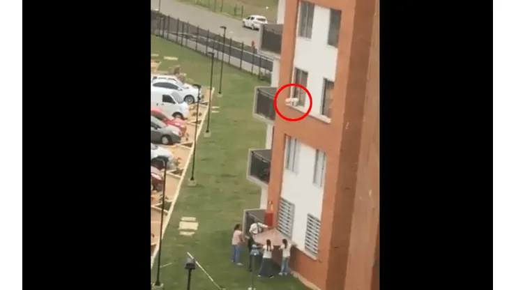 Foto del perro a punto de tirarse.