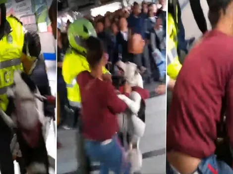 Video viral: perro diabólico atacó a policía en plena estación de Transmilenio