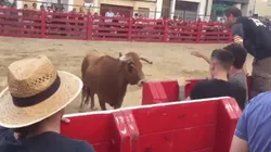 Foto del Toro y el hombre.