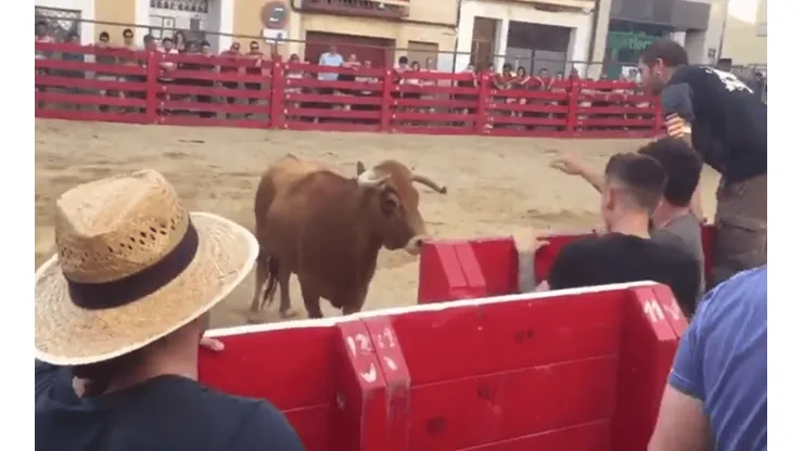 Foto del Toro y el hombre.