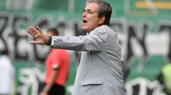 Jorge Luis Pinto, técnico de Millonarios.