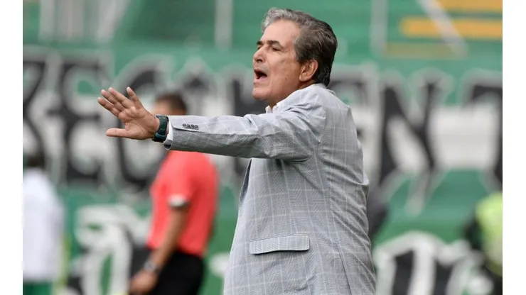 Jorge Luis Pinto, técnico de Millonarios.