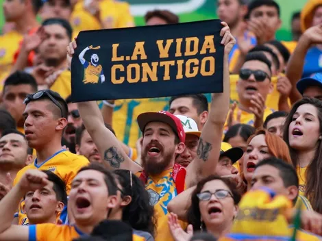 ¿Está loco? Un aficionado de Tigres pintó su casa con el escudo de Tigres