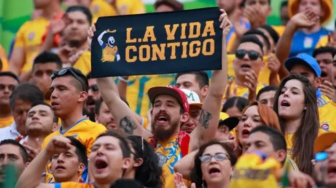 ¿Está loco? Un aficionado de Tigres pintó su casa con el escudo de Tigres