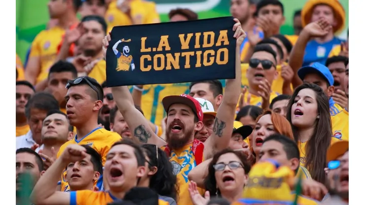 ¿Está loco? Un aficionado de Tigres pintó su casa con el escudo de Tigres