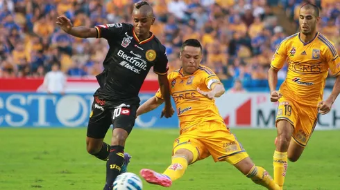 Una vergüenza: Leones Negros le faltó el respeto a Tigres en las redes de manera grosera