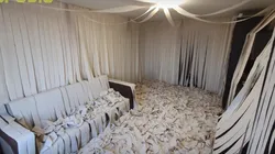 Video viral: llenó su casa de papel higiénico y su gato enloqueció al verlo