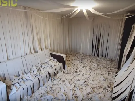 Video viral: llenó su casa de papel higiénico y su gato enloqueció al verlo