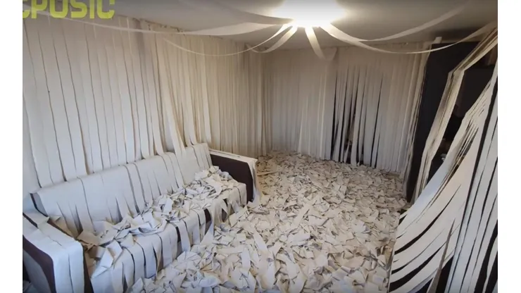 Video viral: llenó su casa de papel higiénico y su gato enloqueció al verlo