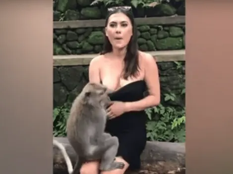 Video viral: un mono diabólico le bajó el vestido a una turista