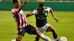 Junior vs Deportivo Cali por la Liga Águila.