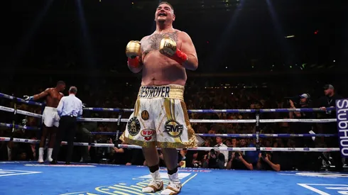 El mexicano y un trolleo épico en las redes.