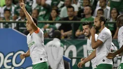 Lo cierto, las mentiras y la realidad a hoy de Atlético Nacional, tras la salida de Autuori