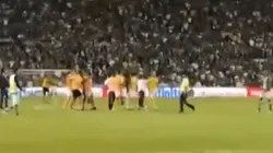 ¡Piel chinita! La reacción de todo Tigres Campeón con el pitazo final