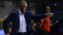 Gustavo Alfaro, director técnico de Boca.