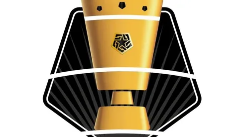 Mientras se disputa la Copa América en Perú se jugará la Copa Bicentenario