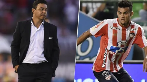 El gran dolor de cabeza de River y Gallardo que impide la llegada de Luis Díaz