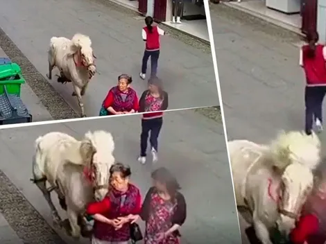 Video trágico: salió a pasear por la calle y la terminó atropellando un caballo asustado