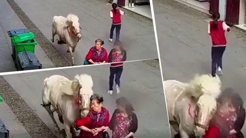 Video trágico: salió a pasear por la calle y la terminó atropellando un caballo asustado
