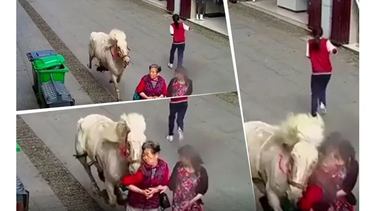 Video trágico: salió a pasear por la calle y la terminó atropellando un caballo asustado