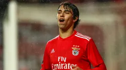 Joao Félix, revelación de Benfica.