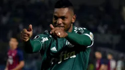 Si el Palmeiras no quiere contar más con él, a Borja lo siguen desde varios clubes de Brasil