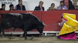 El momento en que un toro le desfiguró la cara de una embestida a una matadora