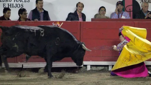 El momento en que un toro le desfiguró la cara de una embestida a una matadora