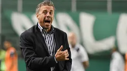 Lucas Pusineri, entrenador de Deportivo Cali.