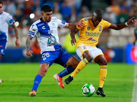 Tigres vs Pachuca por la Liga MX: Día, Horario y Canal de TV