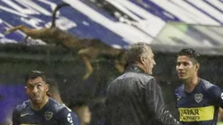 El momento en el que lanzaron al perro.