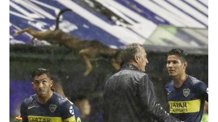 El momento en el que lanzaron al perro.