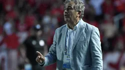 Jorge Luis Pinto, técnico de Millonarios.