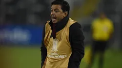 Gallardo durante el partido ante Palestino.