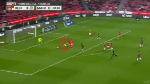 Gran definición de Franco Cervi.